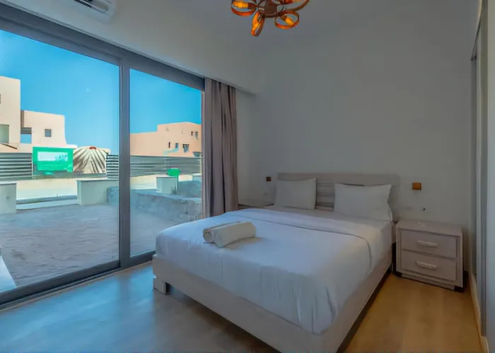 Standard One-Bedroom Apartment
